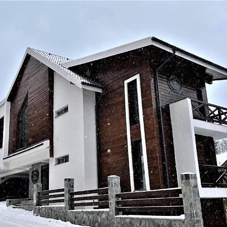 Casa Larisa - Wolves Apartment Sinaia Buitenkant foto