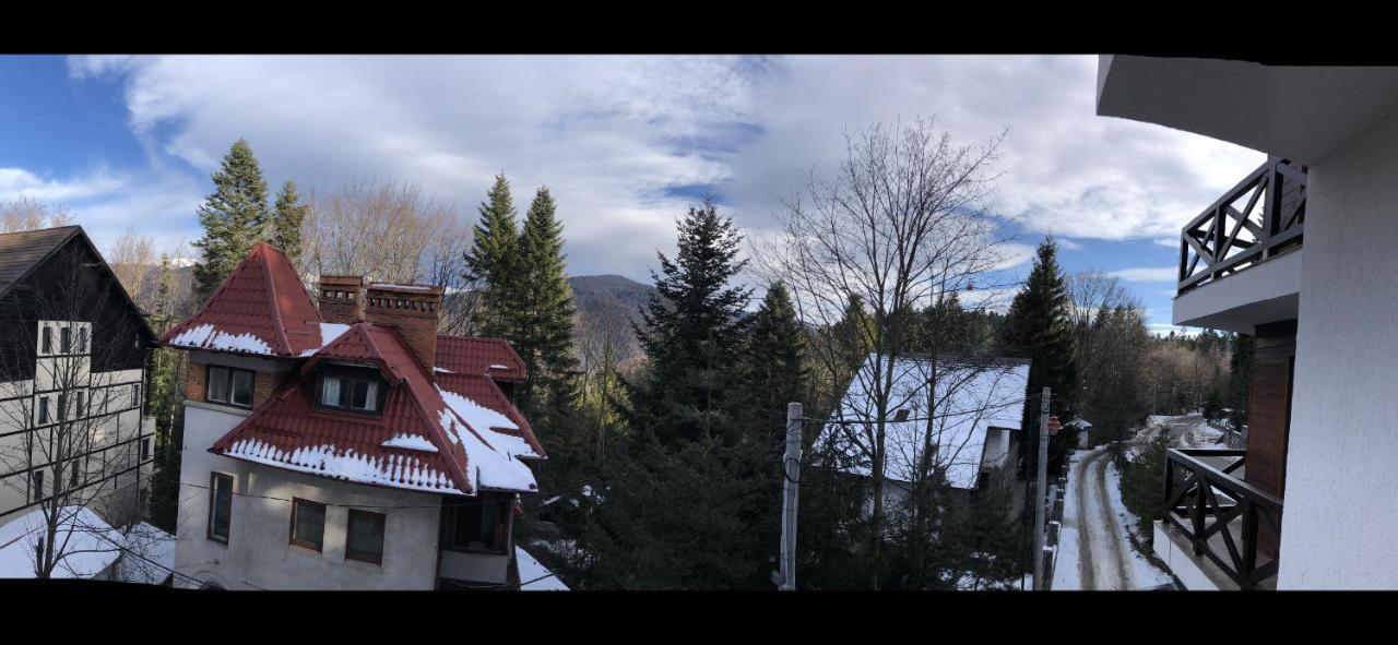 Casa Larisa - Wolves Apartment Sinaia Buitenkant foto