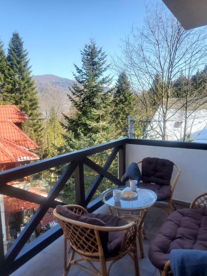 Casa Larisa - Wolves Apartment Sinaia Buitenkant foto