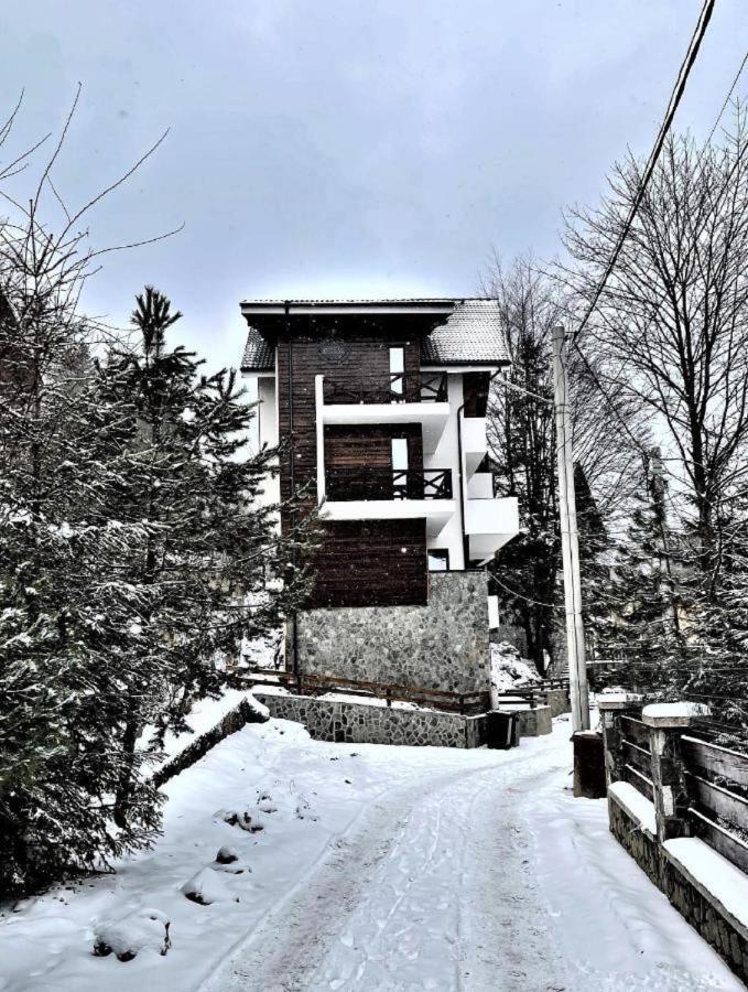 Casa Larisa - Wolves Apartment Sinaia Buitenkant foto